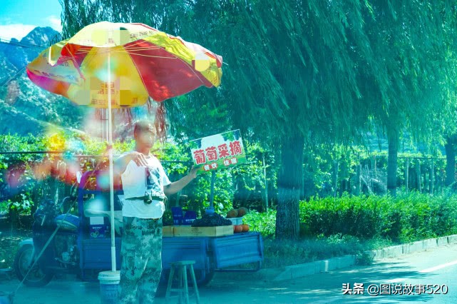 河北葡萄县，名气没*疆新**吐鲁番大，村民自称中国30%干红酒出自这