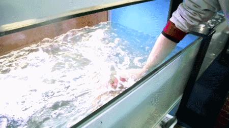 秦皇岛人都知道的地方,秦皇岛最好的海鲜自助餐厅排名榜