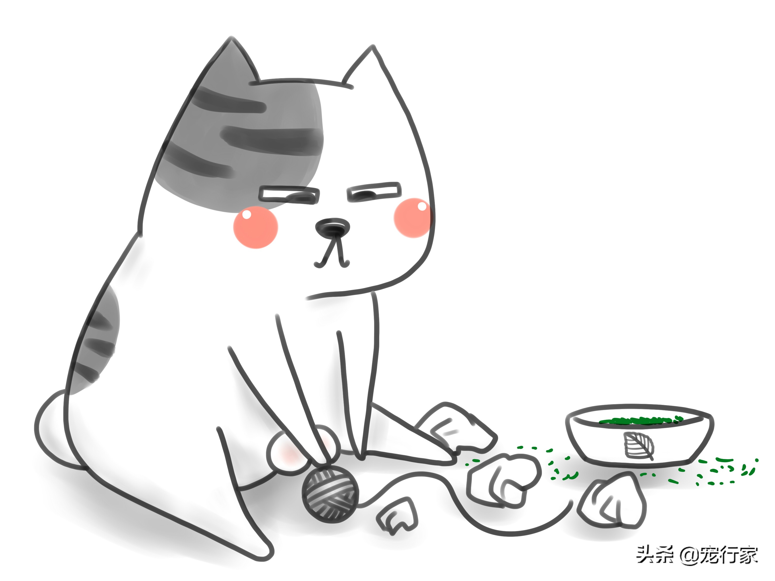 猫也有分离焦虑症吗,猫有分离焦虑怎么办