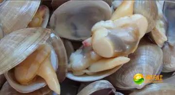 舟山海鲜攻略2天1晚住宿自由行,舟山最好的海鲜