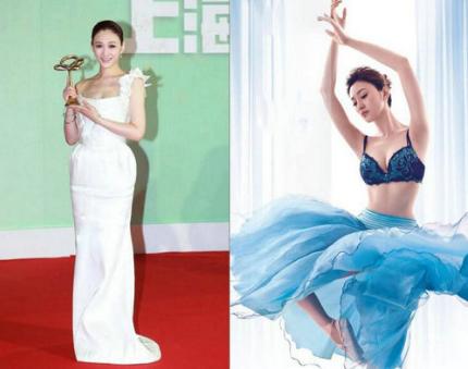 梅婷和李小冉近况,李小冉插足梅婷婚姻