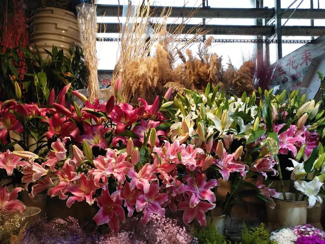 国内最治愈安静的地方,北京小众又文艺的地方