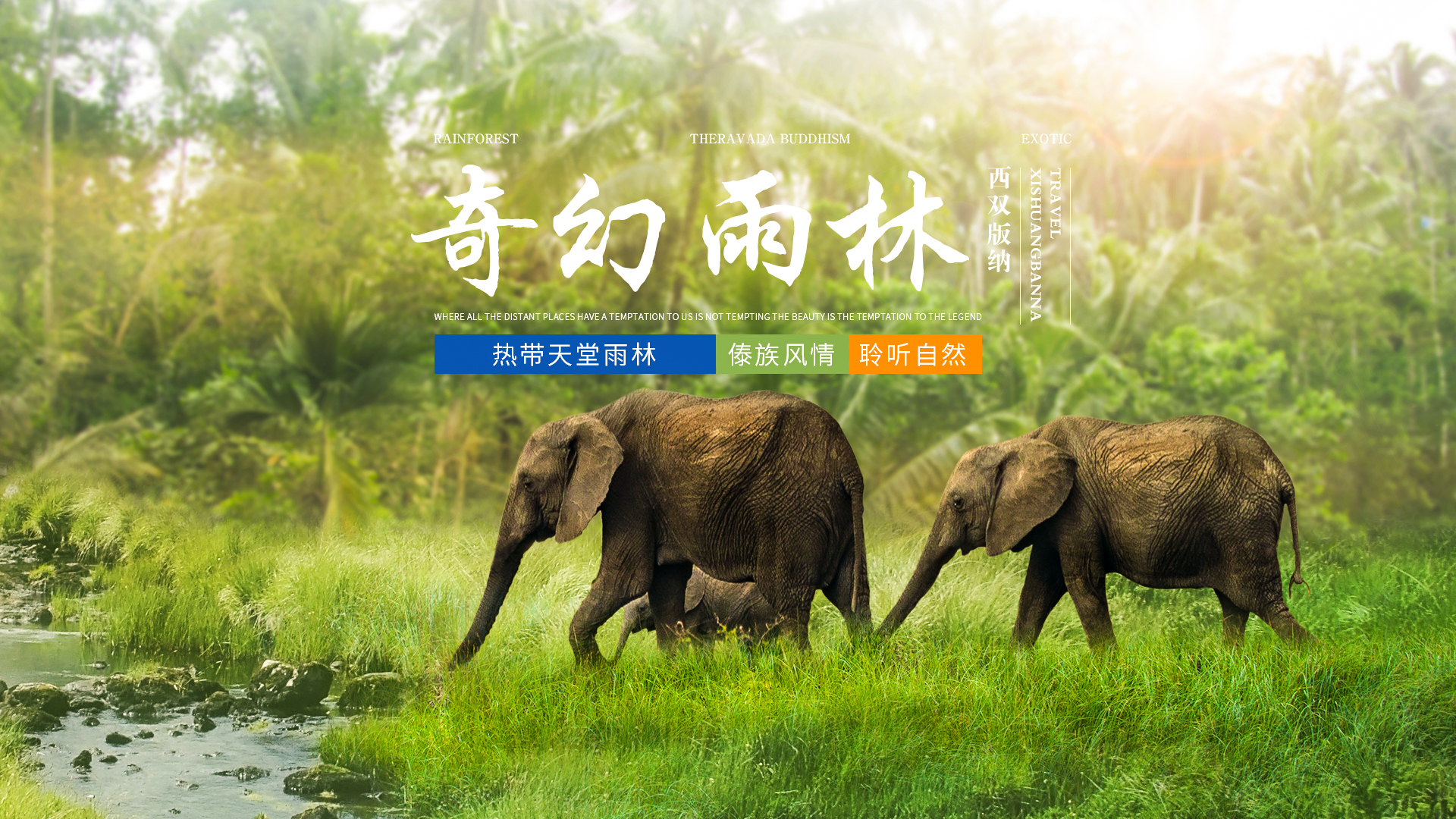 昆明西双版纳8天7夜单人游,昆明大理丽江西双版纳自由行攻略