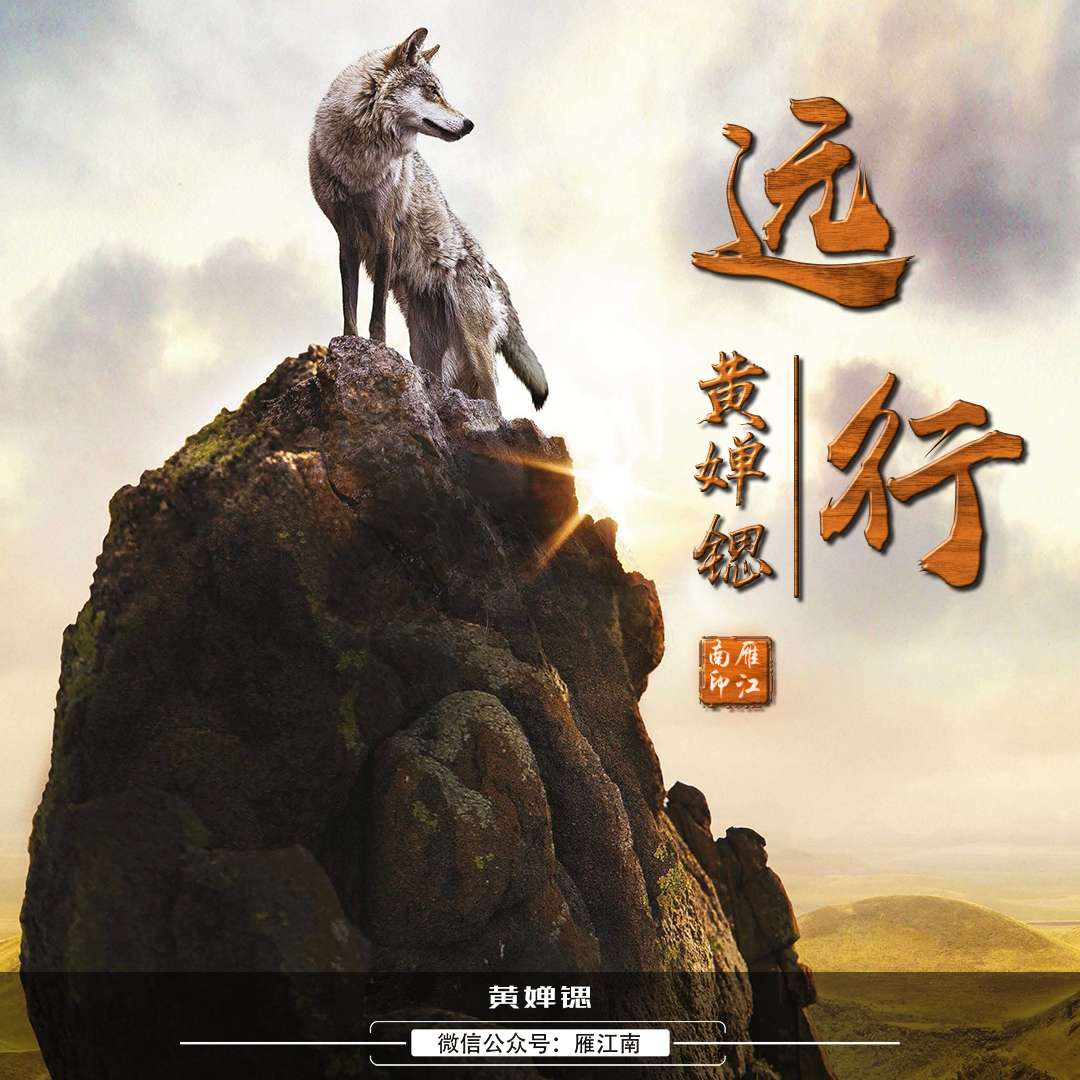 狼回头微信头像100张霸气,微信狼图腾头像