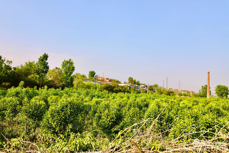 偃师巩义有哪些旅游景点,洛阳偃师旅游景点大全介绍