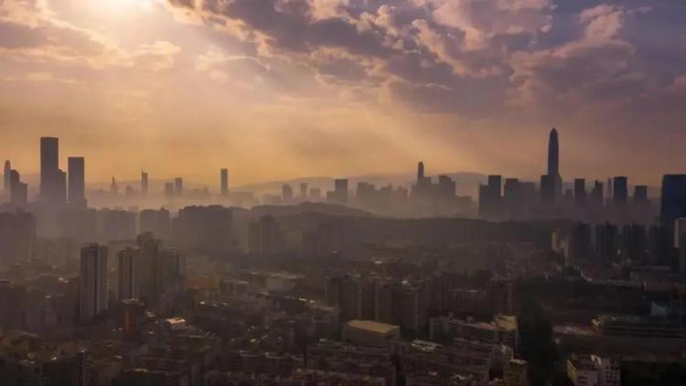 不离深,深圳高颜值绿道推荐一日游正好