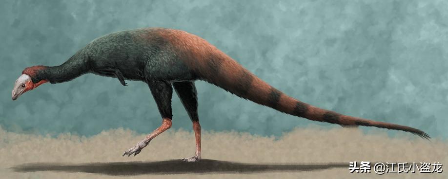 古生物时代有多少种恐龙,人类已经发现了多少恐龙种类