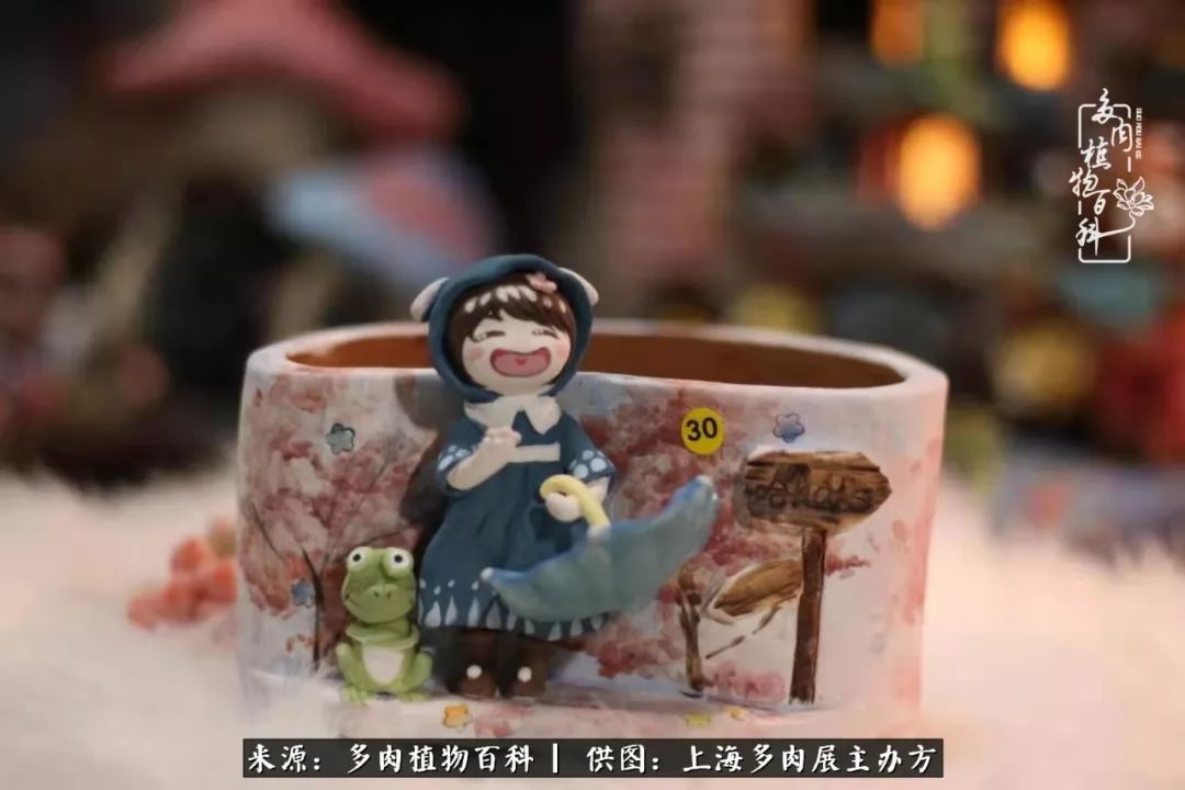 2023多肉展会直播,2023上海多肉植物展