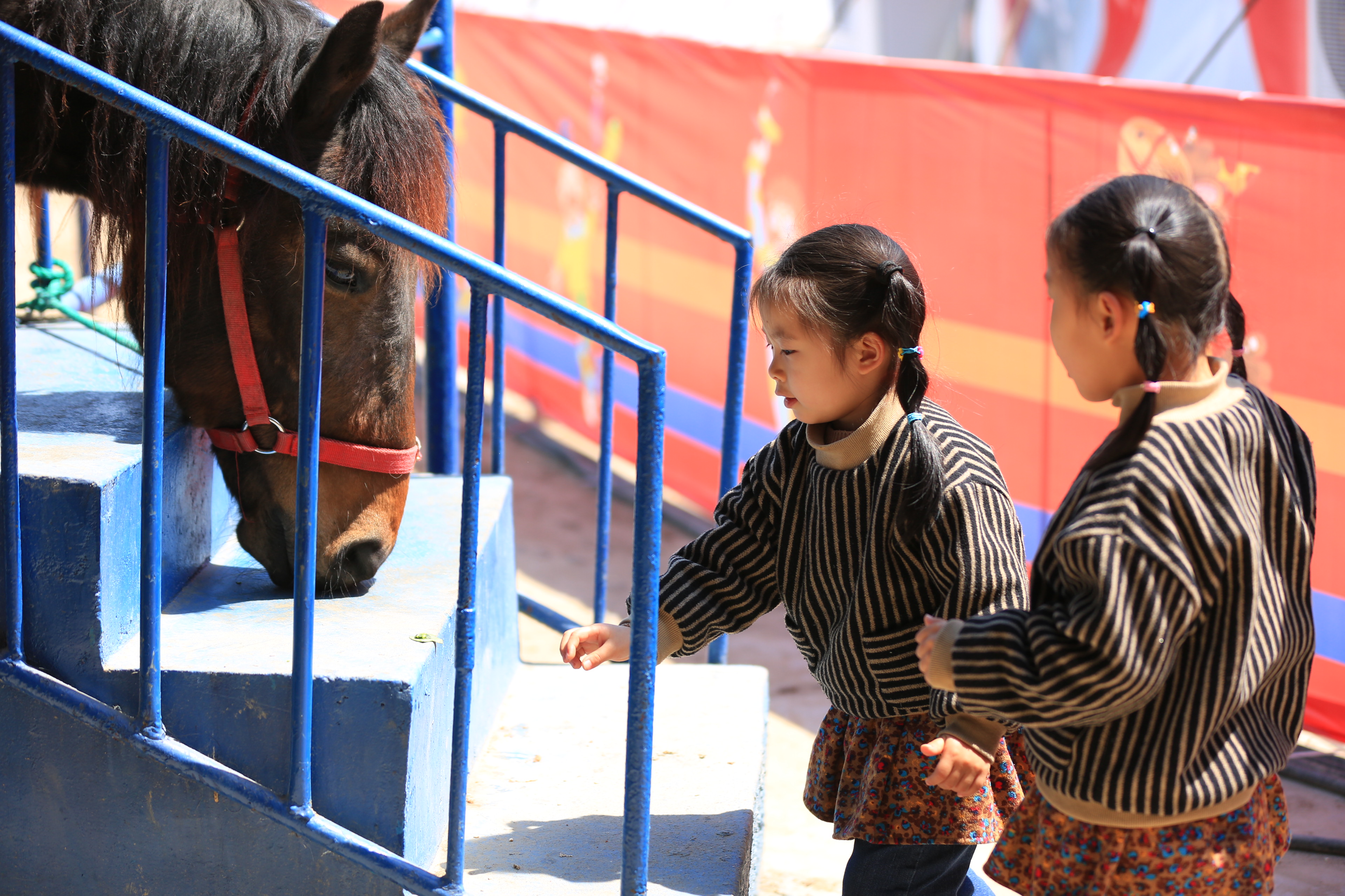 扬州是个不花钱的公园,扬州本地人最喜欢去的公园
