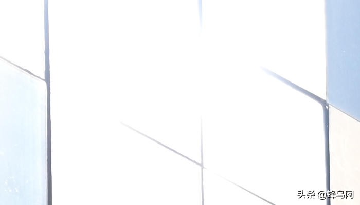 z卡口70-200f2.8尼康评测,尼康70200电磁炮镜头深度评测