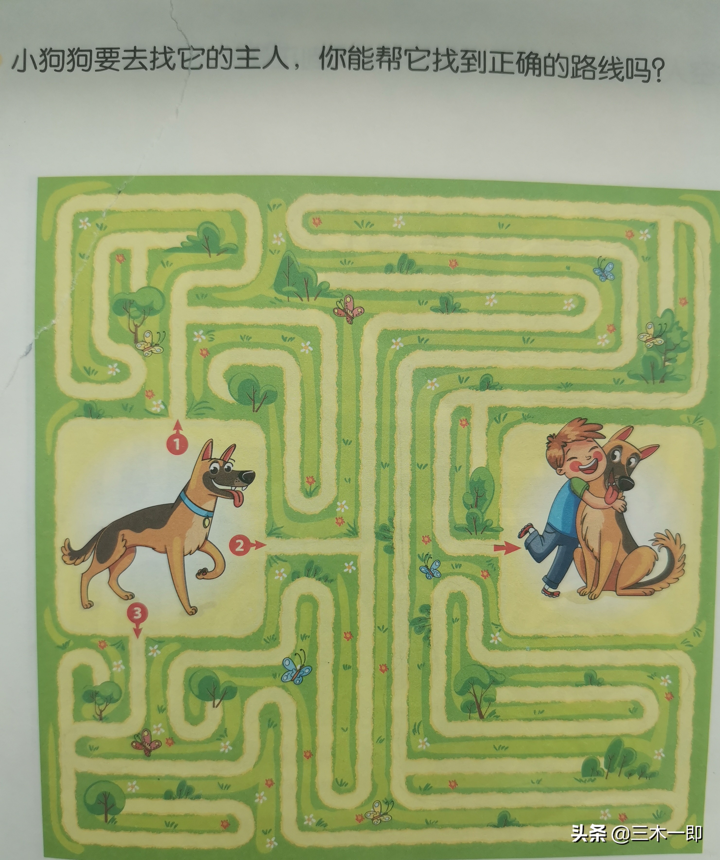 适合7-12岁孩子的迷宫游戏规则,儿童迷宫游戏训练