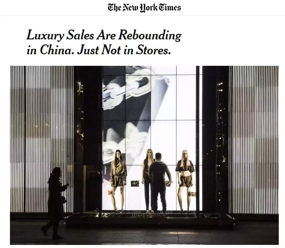 dg在意大利什么水平,dg出身什么意思