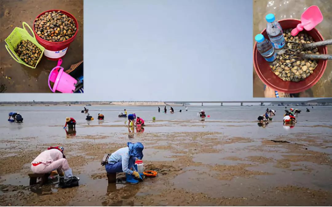 威海市初村镇北海新城,威海北海新城的位置