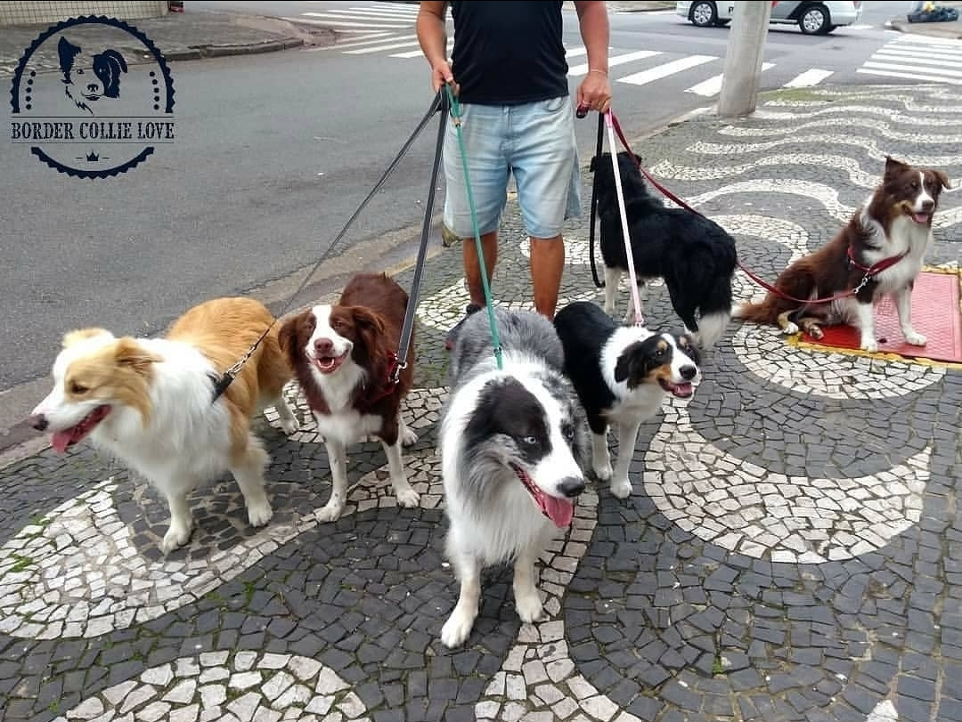 戴上了金箍就要放下七情六欲,今日萌图