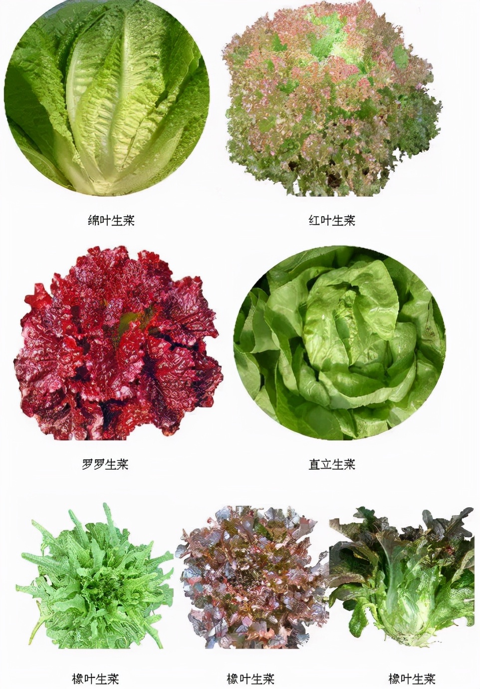 没有时间运动怎么减肥最有效,没有时间运动如何减肥