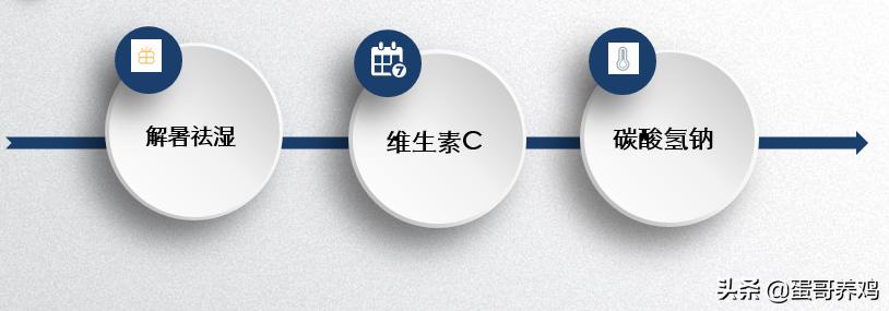 养鸡怎么防止鸡群热,夏天养鸡防热应激