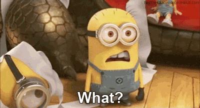 温州蚊子怎么这么多,蚊子警报