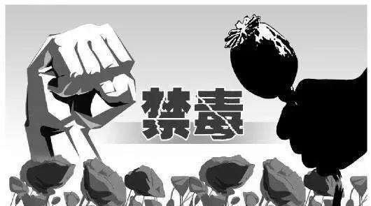 涂欣朱玲:“代购*品毒**”是否构成贩卖*品毒**罪不应一概而论