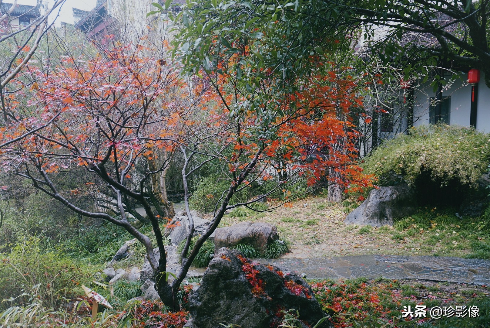 婺源紫阳镇熹园,婺源紫阳熹园