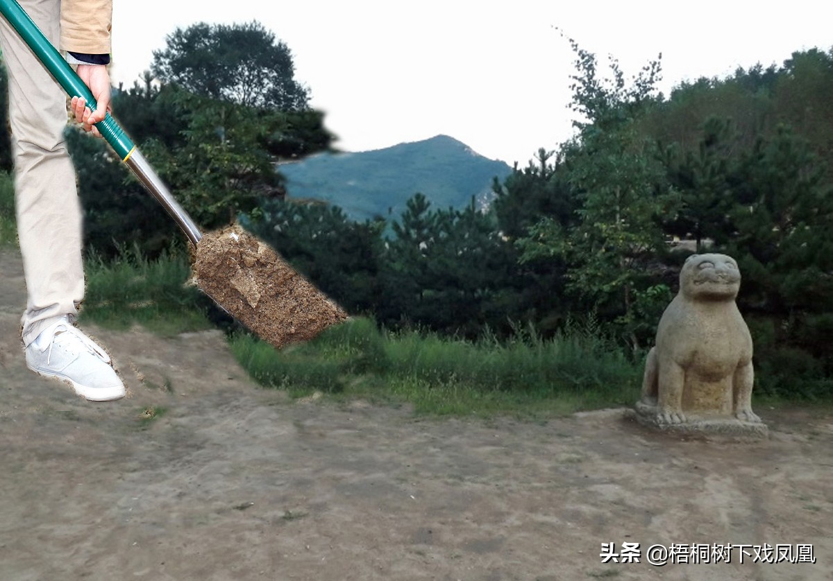 一个盗墓者的自述解说,一位盗墓者的自述实体书