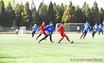 通州区体育运动线下训练全面恢复，青少年们青春激扬训练场