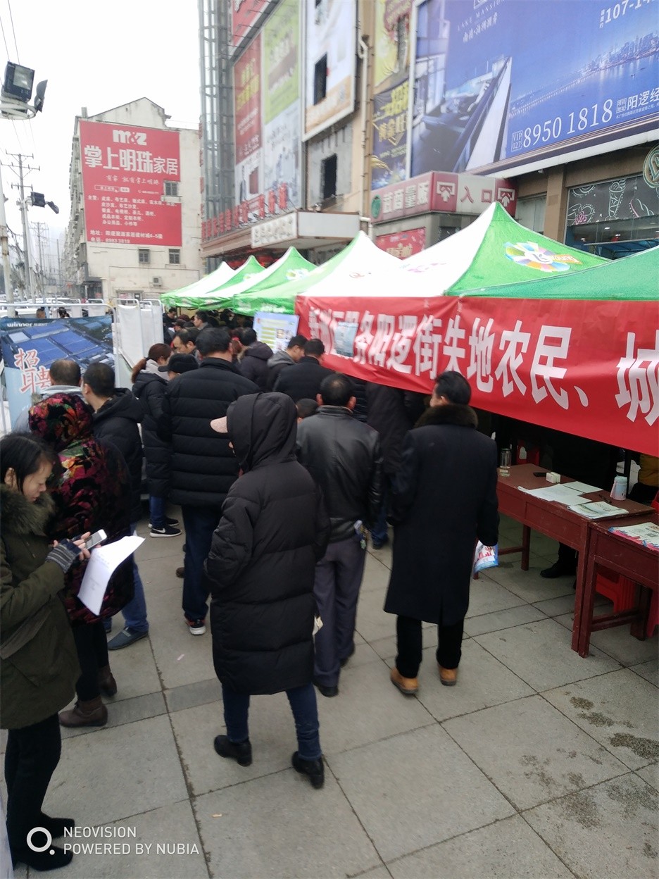 武汉市江夏区招聘最近,武汉新洲招聘网最新招聘