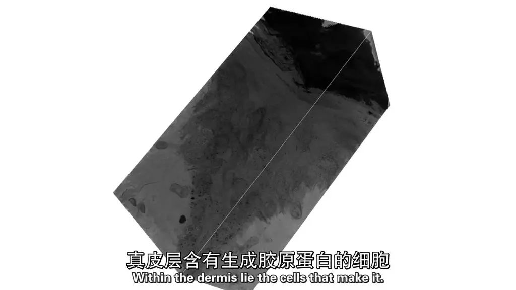 山口百惠买菜的视频,山口百惠晚年变大妈