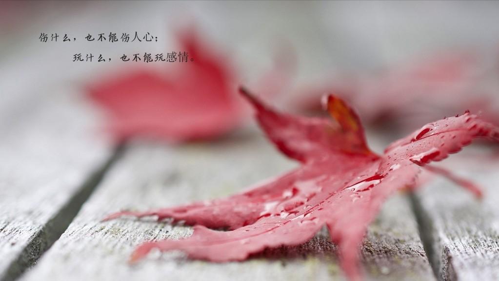 人最好的状态无非是止语又止心,止语止心止行什么意思