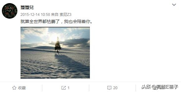 孟庭苇谈婚姻状况,孟庭苇和老公离婚没