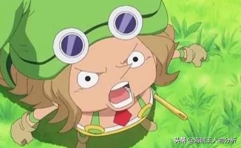 海贼王草帽海贼团11个成员,海贼王草帽大船团队员叫什么