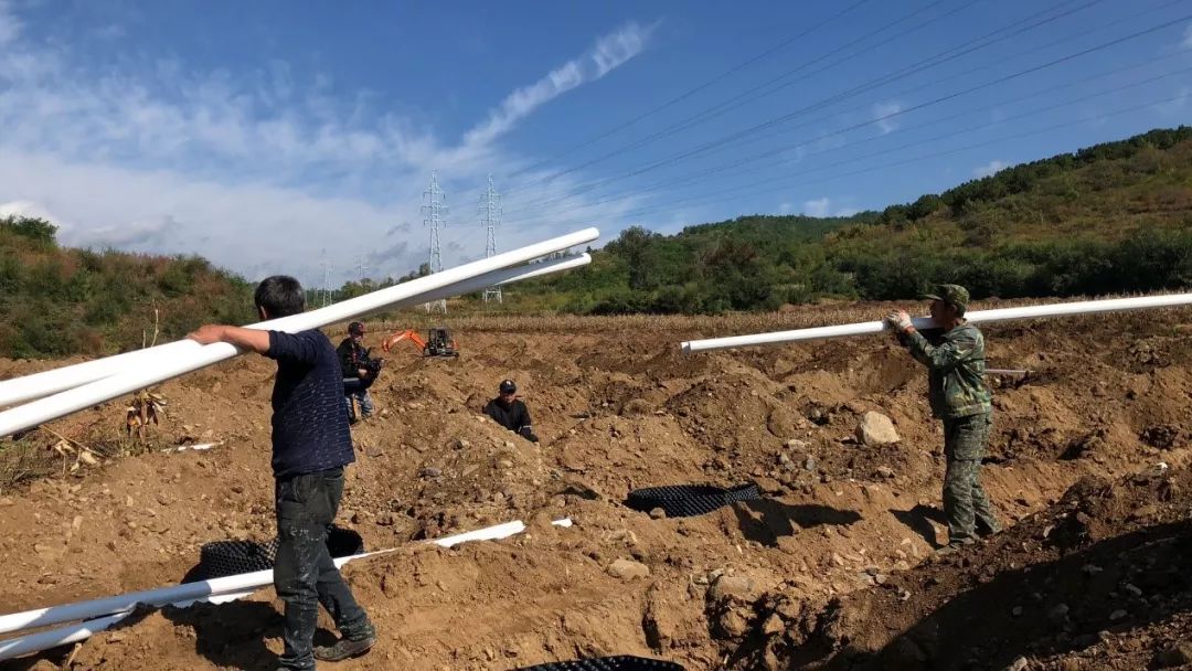 碧桂园助力精准脱贫攻坚战,碧桂园扶贫基地在哪里