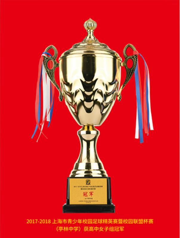 十六区青少年足球培训,平桥区青少年足球训练