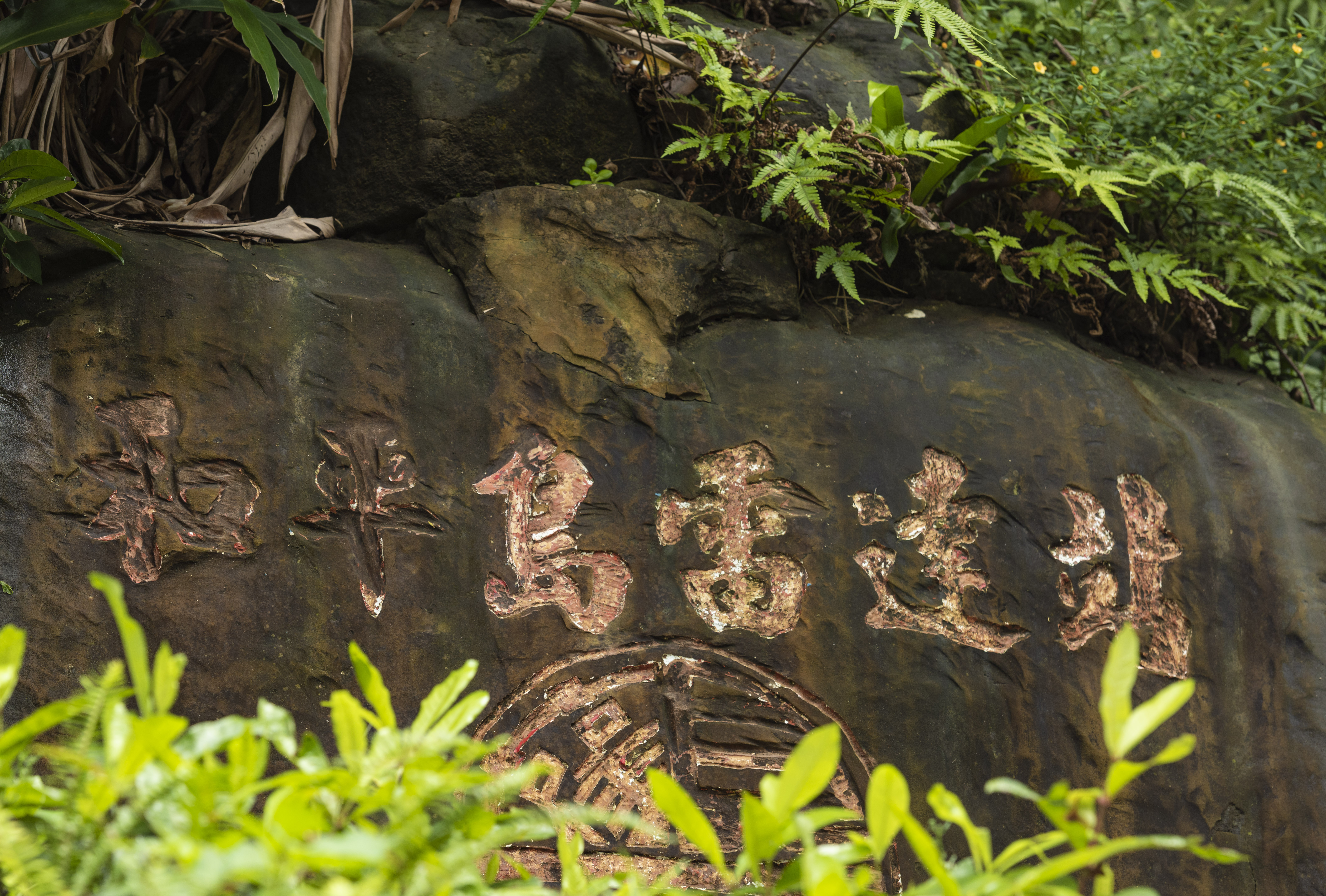 台湾的阿里山日月潭到底好不好,台湾日月潭阿里山