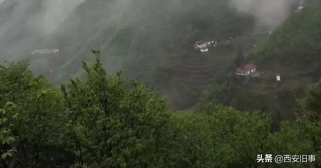 无拙庄主简介,无拙