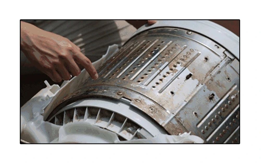 热水器水流出有虫子怎么办,饮水机水管里有小白虫