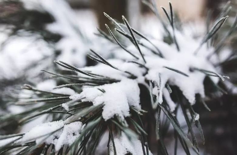 入冬手脚冰凉的女人怎么调理,孕妈冬天脚冷怎么办