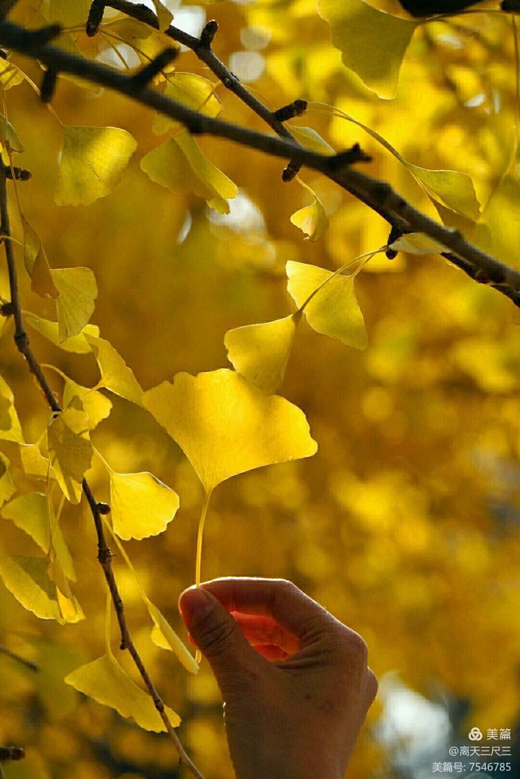 玉泉山北坞公园介绍,北坞村玉泉山