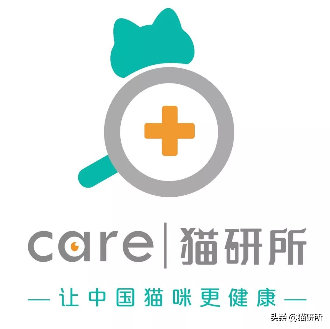 能不能养宠物鼠狗兔猫,能不能养宠物鼠猫狗呢