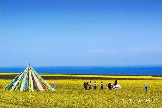 带您探索神秘大西北，一湖倒影一湖诗，半湖金色半湖