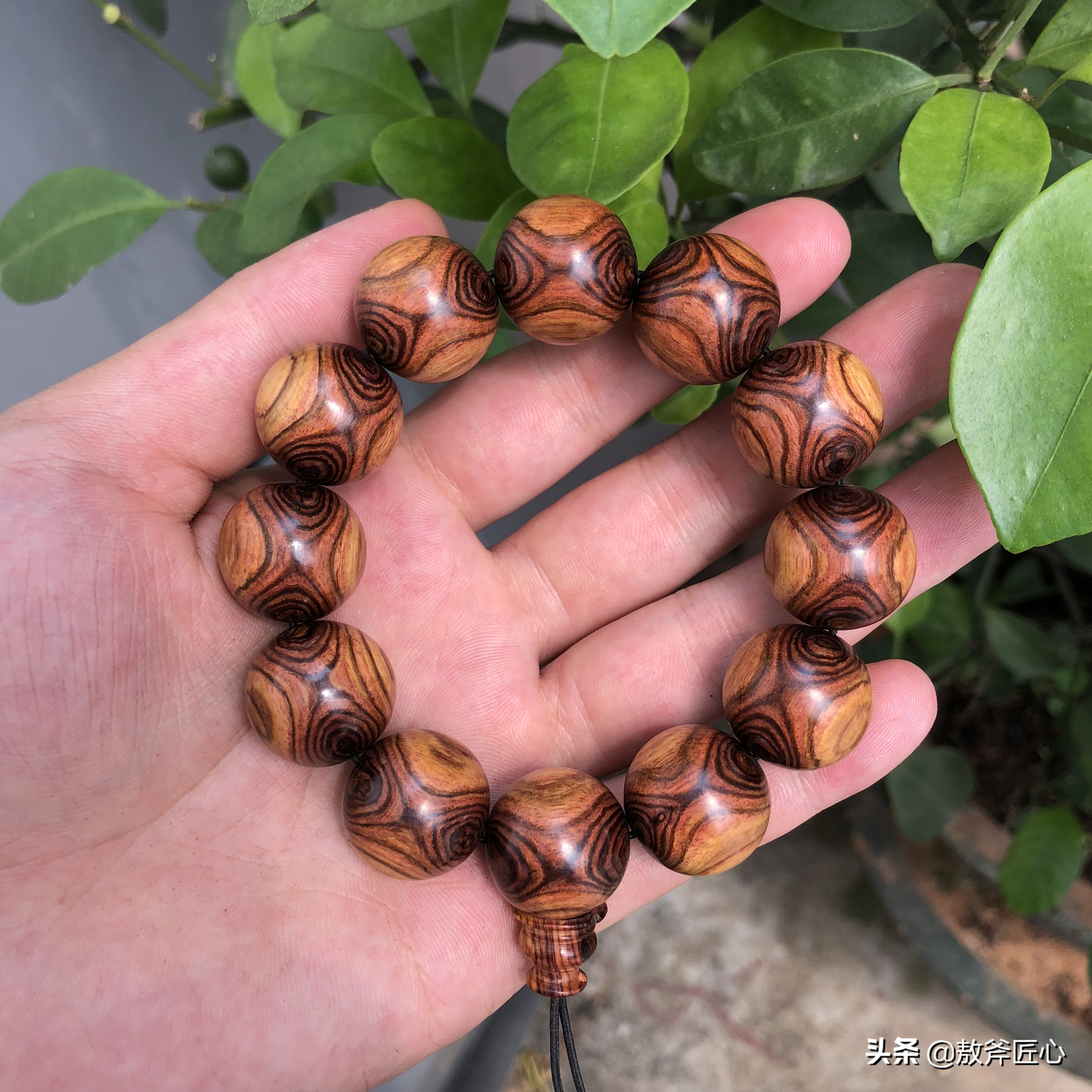 黄花梨鉴别真假只需3秒,海南黄花梨用酒精泡咋分真假