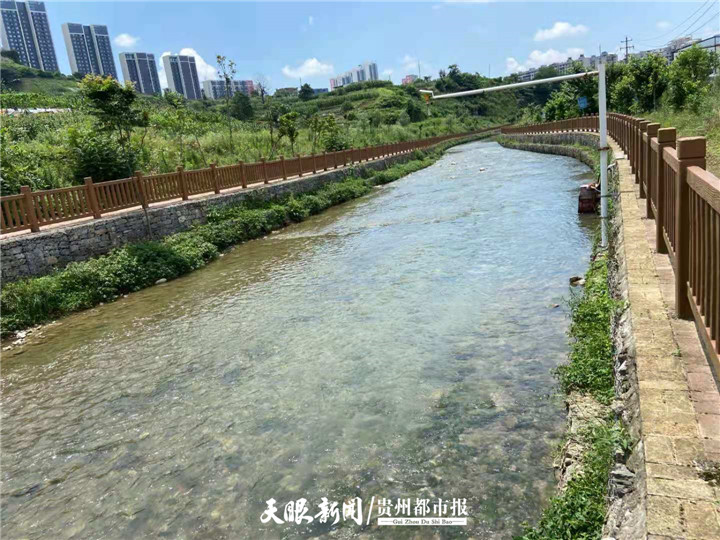 助力绿色发展守护生态环境,绿色金融助力生态文明建设
