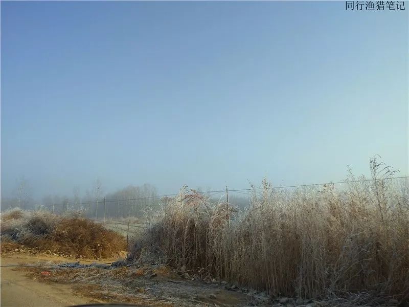 其貌不扬的一位钓友,谁成想竟是一位抛投高手