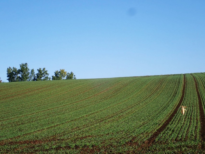 日本从南到北旅游路线,从南游到北