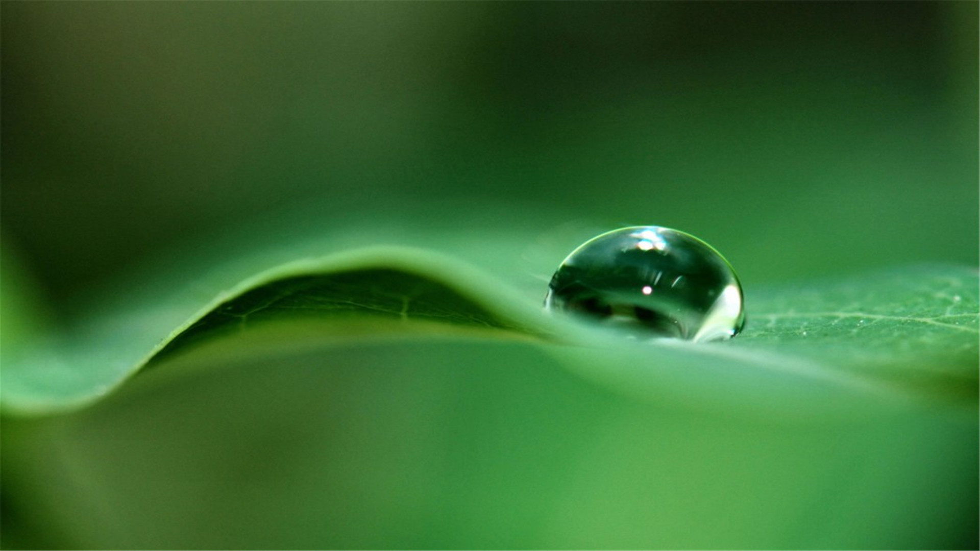 蓝色护眼壁纸唯美图片,最美的护眼桌面壁纸