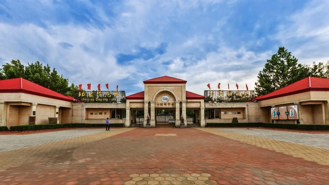 2020丰台文化和旅游消夏季活动正式启动！5条线路，游园、嬉水、赏花、亲子、夜游，全都有！