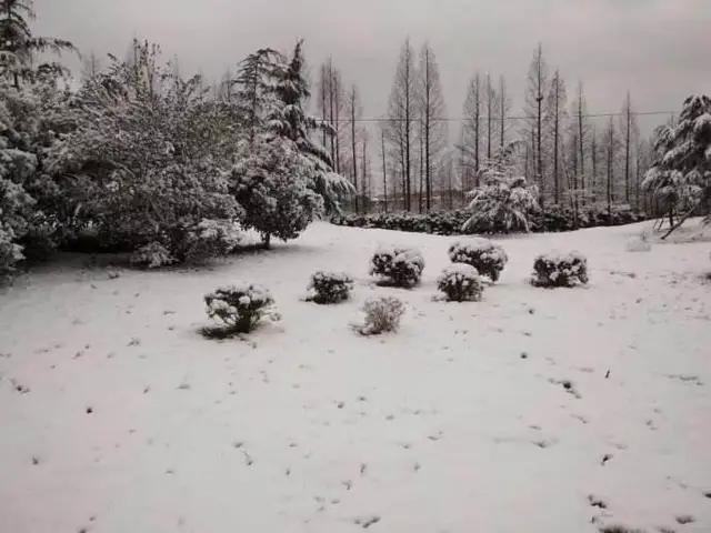 2018民谣歌曲大全100首,2018经典民谣推荐