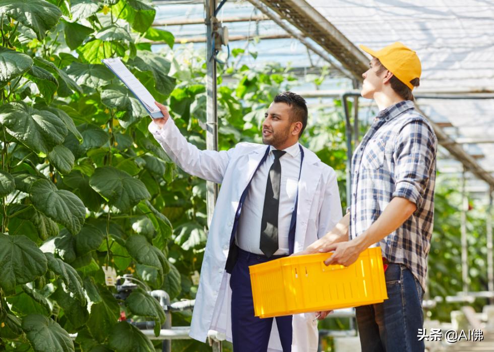 加拿大薪资高的行业有哪些,加拿大收入排名前十的职业