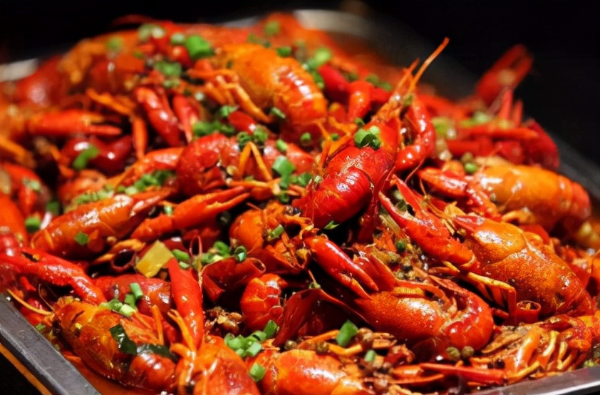 我为什么推荐你去桐庐,我为什么建议你留在一线城市