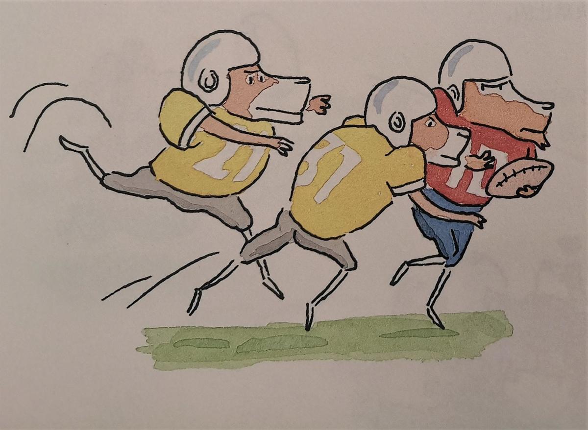 跟体育游戏有关的绘本,儿童运动趣味知识