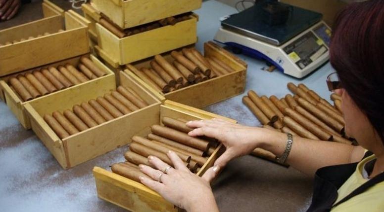 古巴当地烟贵吗,为什么古巴的烟最好